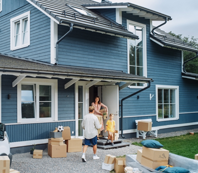 Full House Renovation